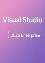 MS Visual Studio 2026 Enterprise CD Key Global